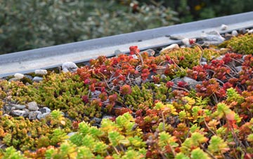 the cost of Fritham green roof installation