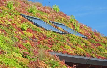 Fritham living roof systems