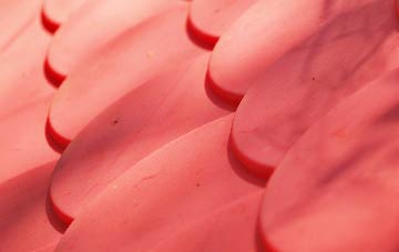 Fritham plastic roof costs